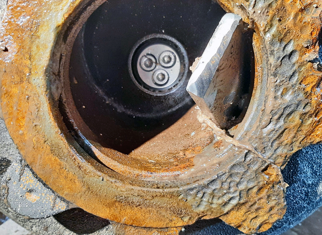 Potato Starch Plant Starch Liquid Extraction in Denmark