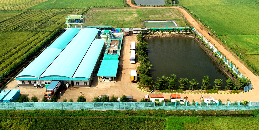 Food Process Factory Effluent Pump Replacement in Andhra Pradesh, India